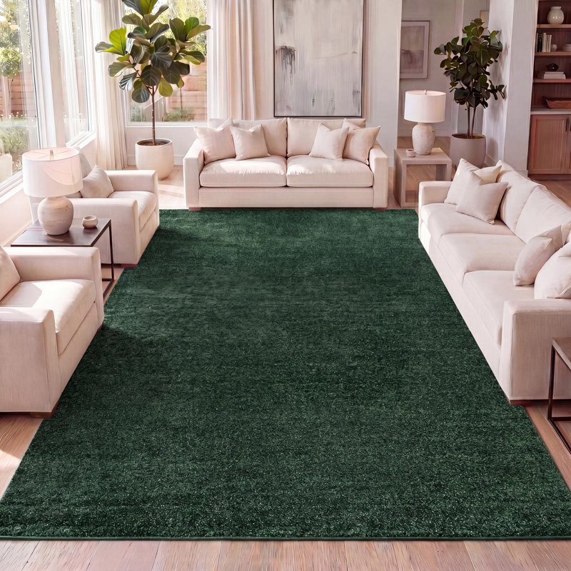 Latitude Run® Asahi Solid Low-Pile Emerald Rug & Reviews | Wayfair